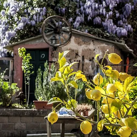 Bed & Breakfast La Casa Dei Carrai 3*