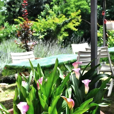 Bed & Breakfast La Casa Dei Carrai